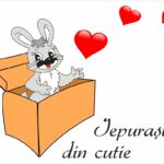 Iepurasul din cutie
